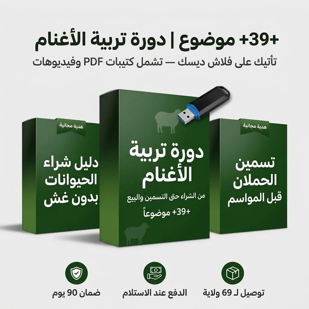 فلاشة تربية الاغنام